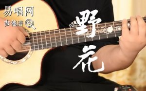 野花吉他譜_田震_A調彈唱譜_吉他教學視頻