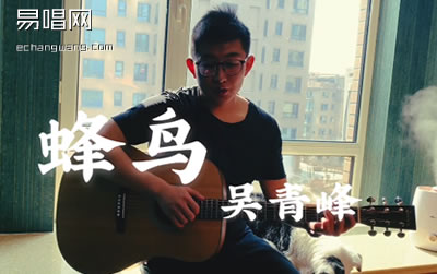蜂鳥吉他譜_吳青峰《我在北京等你》主題曲_吉他